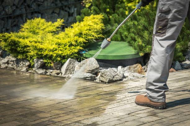 Best Fence Cleaning  in Echelon, NJ