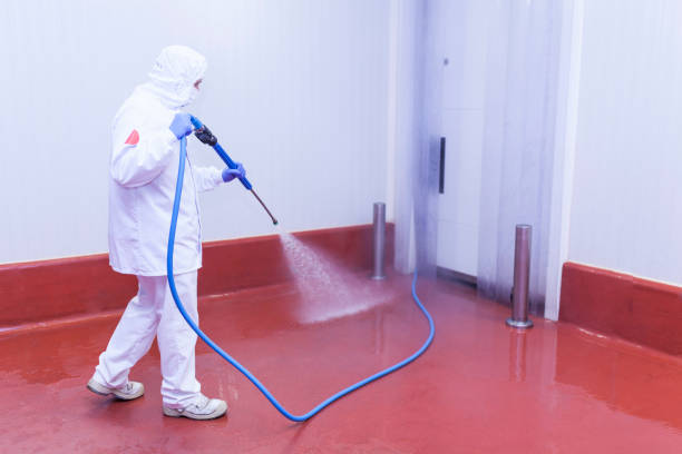 Best Paint Preparation  in Echelon, NJ