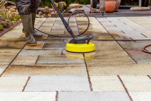 Best Animal Enclosure Cleaning  in Echelon, NJ