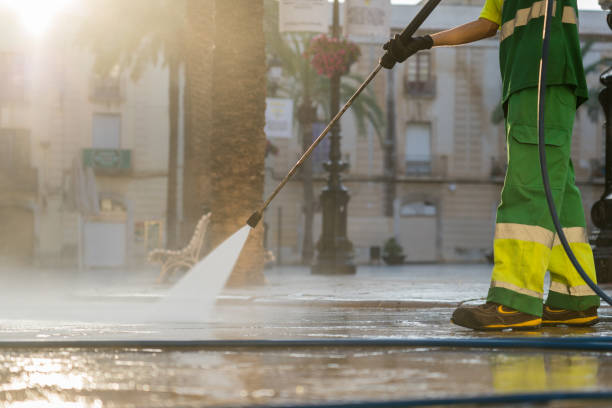 Best Solar Panel Cleaning  in Echelon, NJ